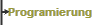 Programierung